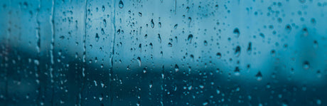 Condensation and Mould Growth Around Windows and Doors