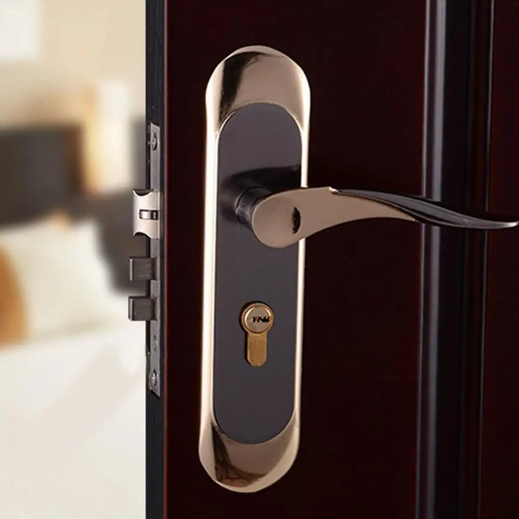 Entrance Lever door handle [with Three keys] for office or front door #5