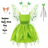 Girls Fairy Tinker Bell Costume Halloween Carnival Elves Party Peter Pan Cosplay Costume for Kids Green Tinkerbell Fancy Dresses